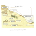 Show  Image