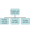 Show  Image