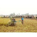 Show  Image
