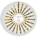 Show  Image