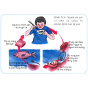 Show  Image