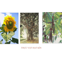 Show  Image