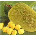 quả phức