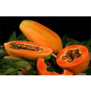 Qủa thịt (quả mọng)