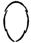 Cờ