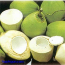 quả hạch  (quả thịt)
